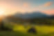 Bavaria Sommer.jpeg