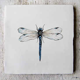 WhatsApp Image 2026-02-11 at 11.11.21 (1).jpeg