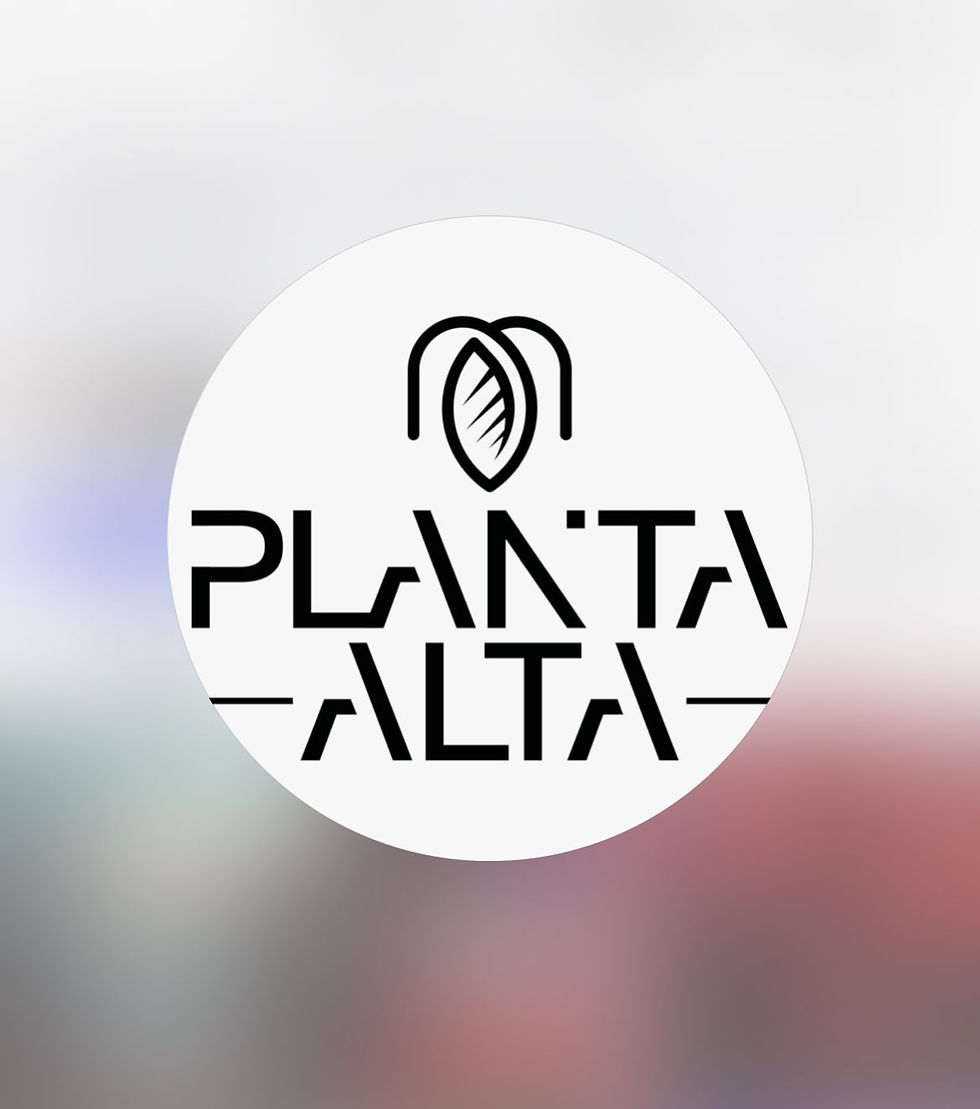 PLANTA ALTA