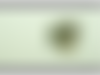 How to Choose the Right Fire Sprinkler Contractor in South Florida