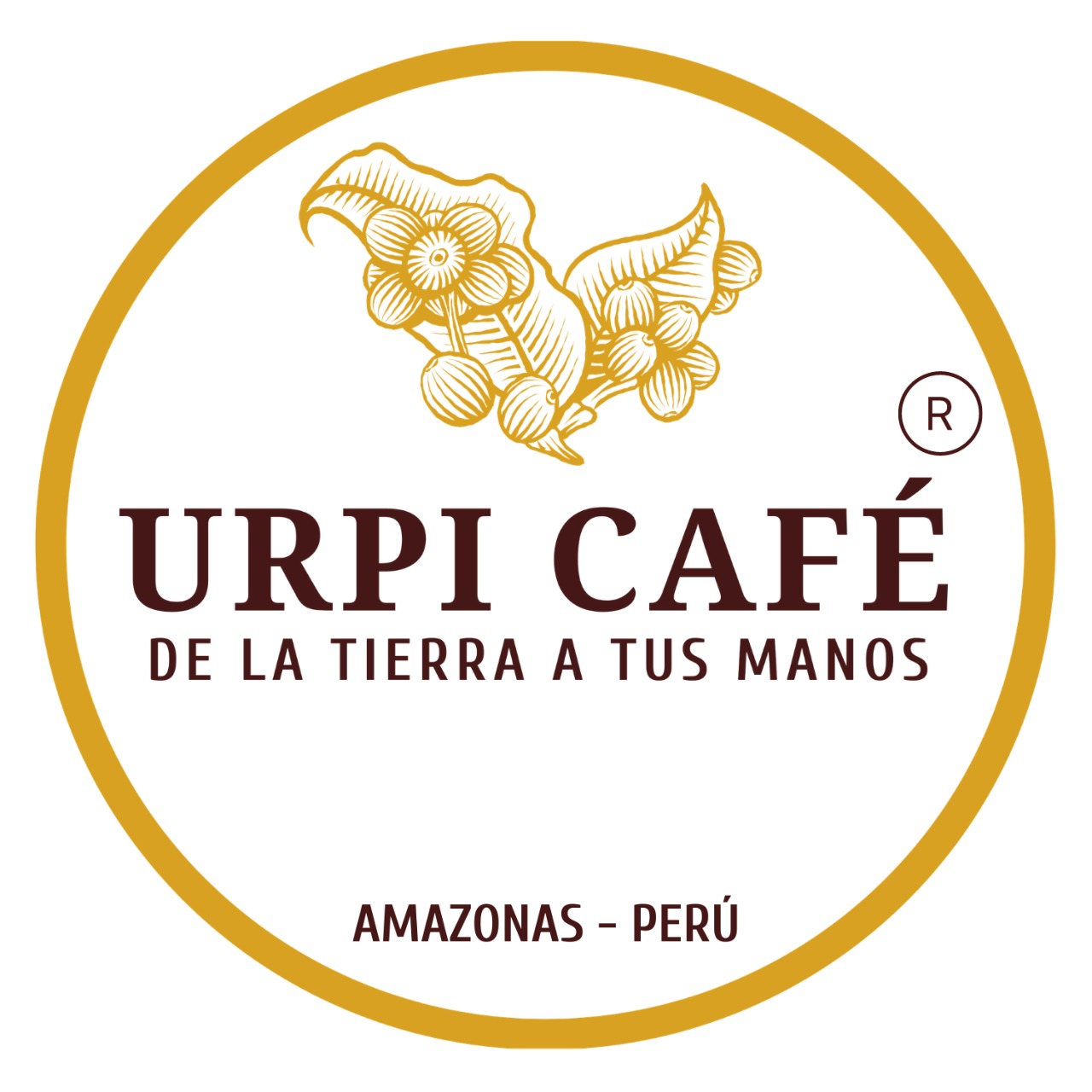 Foto del escritor: urpicafe