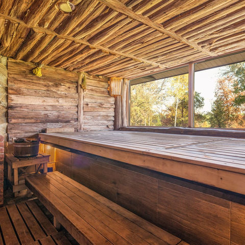 Timber sauna beside trees in a natural setting; illustrative stock photograph