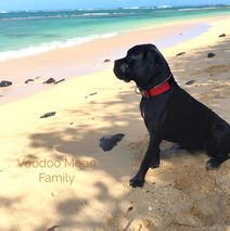 Hello from Hawaii!.jpg