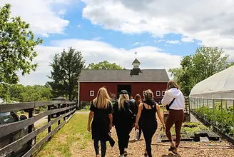 Group of customers walking on a farm