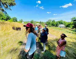 Food-Farm-Tour-Hudson-Valley-image-23.jpg.webp
