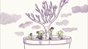 Sembrar justicia, cosechar dignidad: la incidencia política de la Red Jesuita con Migrantes