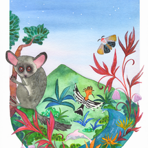 Storybook Illustrations