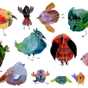 Quirky Birds