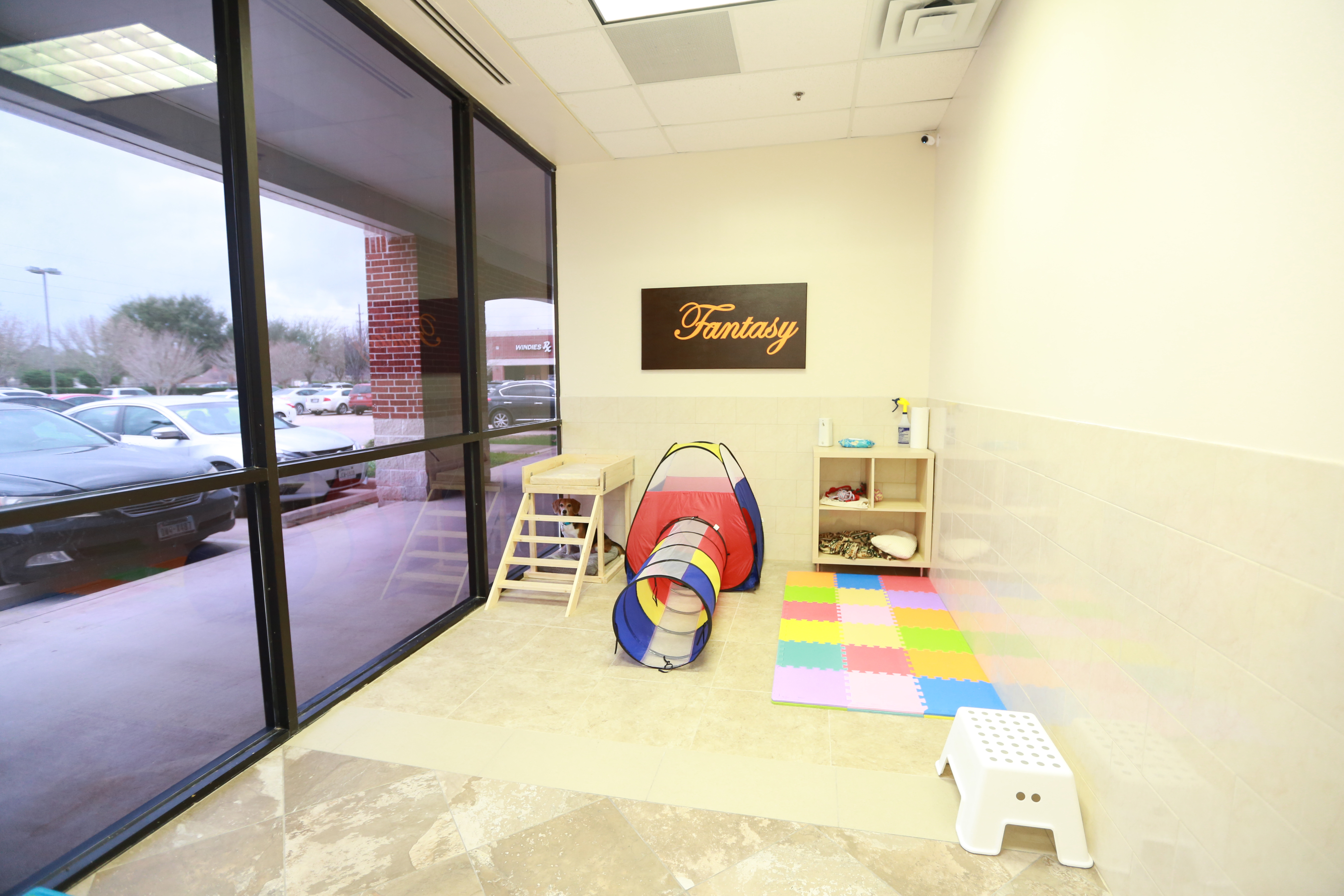 how old does a female dog get her period