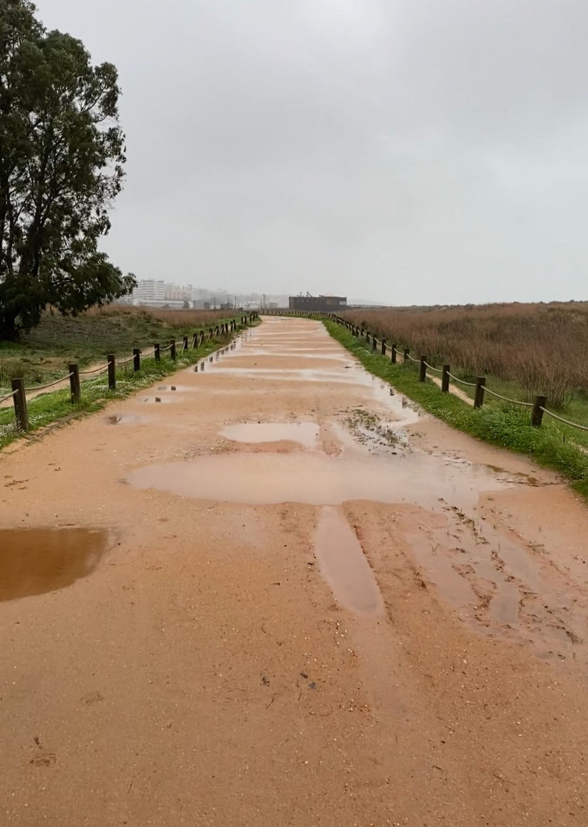 Muddy path in Alvor with puddles in a grassy field on a cloudy day. Trees line the path; buildings visible in the distance under a gray sky.