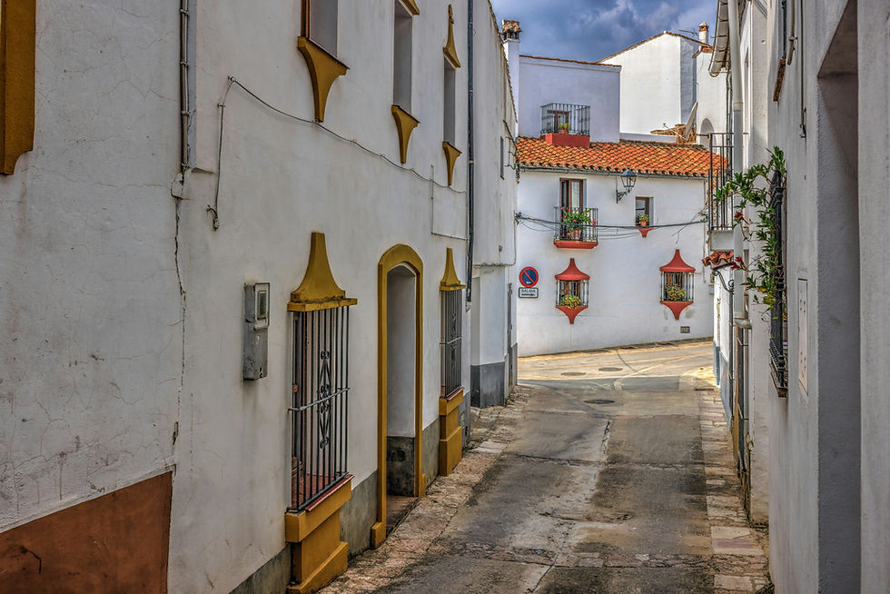 Narrow, empty street in Gaucin, Spain with white buildings, windows with bars, red roof tiles, yellow trim, potted plants, and a "Salida" sign. Calm atmosphere.