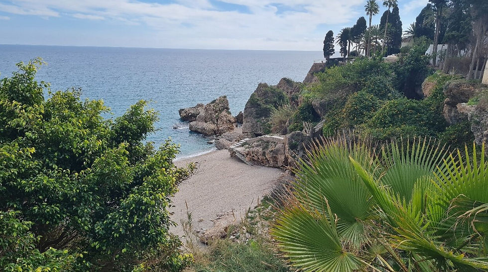 Coastal scene with rocky shoreline, greenery, palm trees, and clear blue sea under a partly cloudy sky, evoking a serene, tropical vibe. Burriana Beach, Nerja, Spain