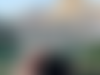 Kurz über die aktuellen Loop-Systeme