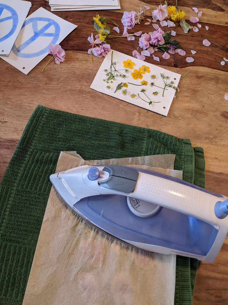 4 ways to dry / press flowers