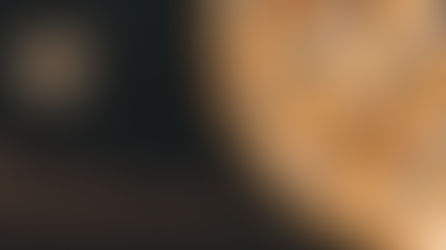 National Pie Day - Monday 1/23