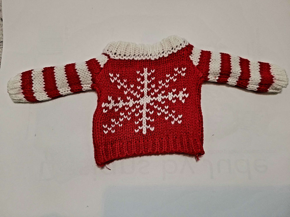 Thumbnail: A Christmas Sweater for Ann