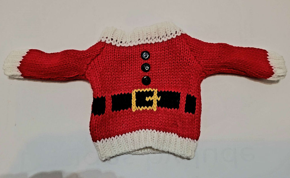 Thumbnail: A Christmas Sweater for Ann