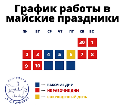 График работы в майские праздники (1).png