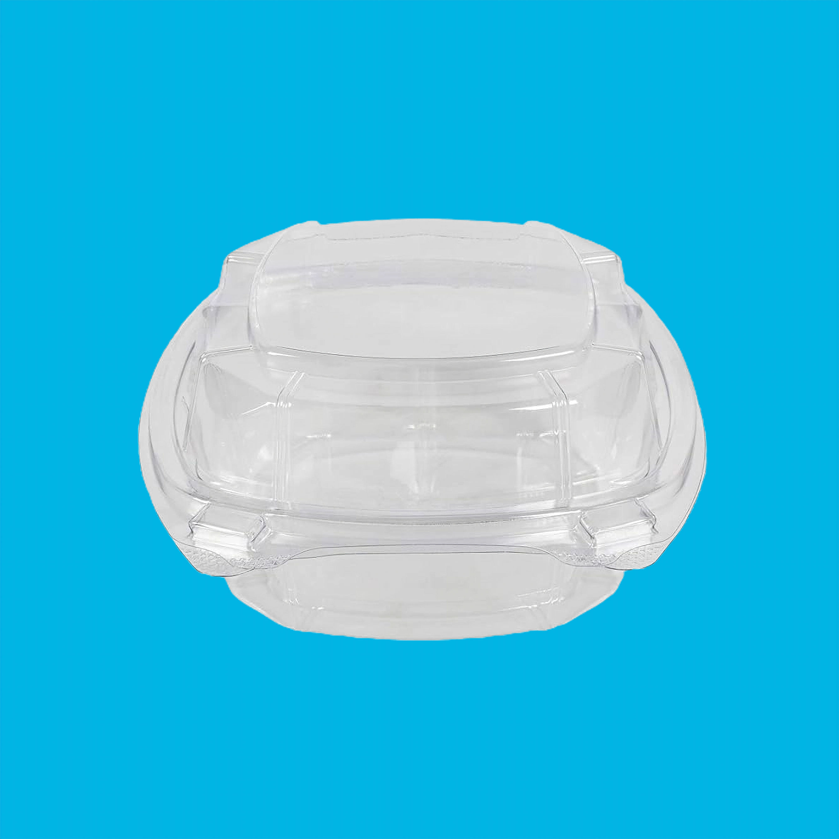 1 PZA DE BISAGRA ULTRACLARA DE PET 6 IN X 6 IN