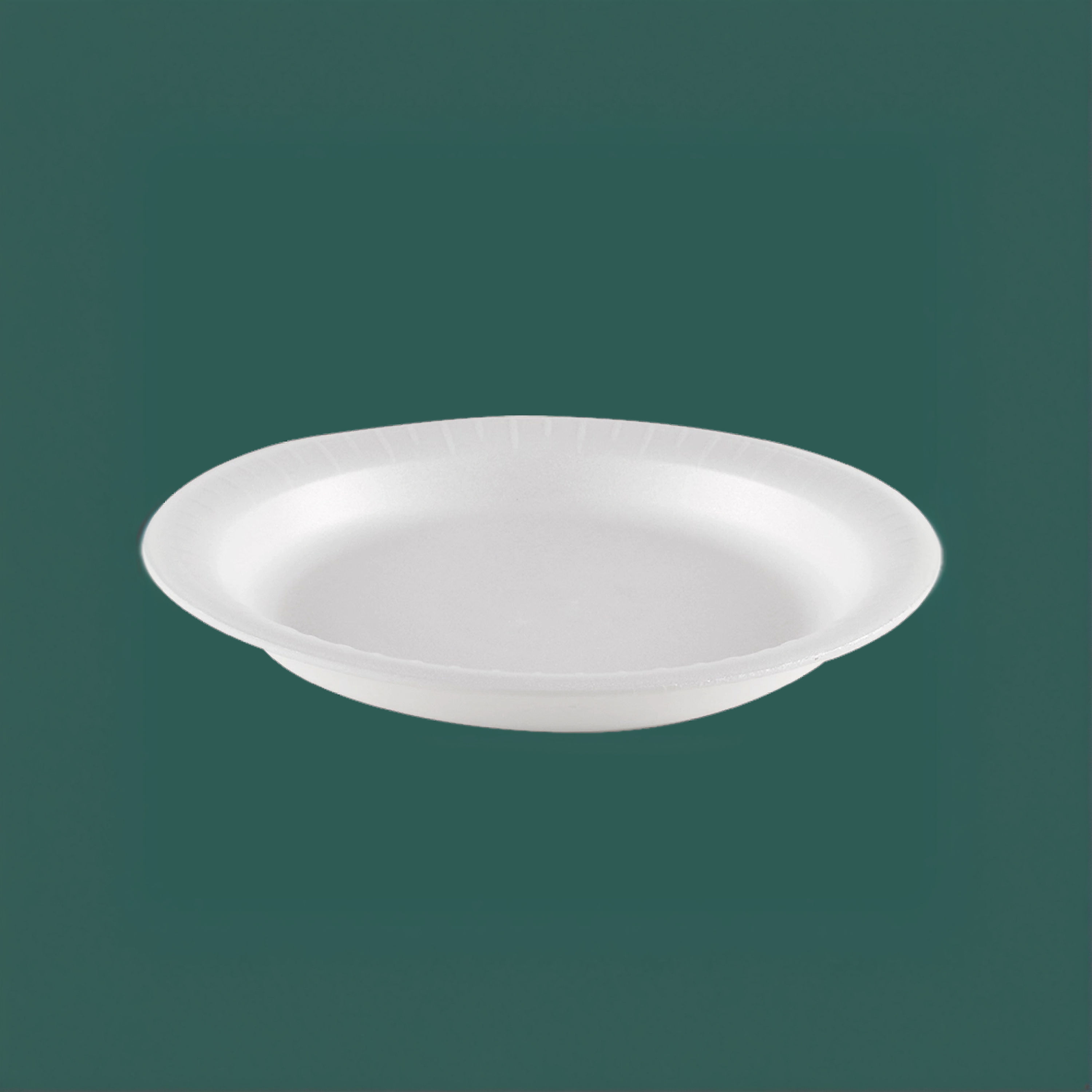 1 PQ C/25PZAS DE PLATO GRANDE TERMICO #10 DE 26CM