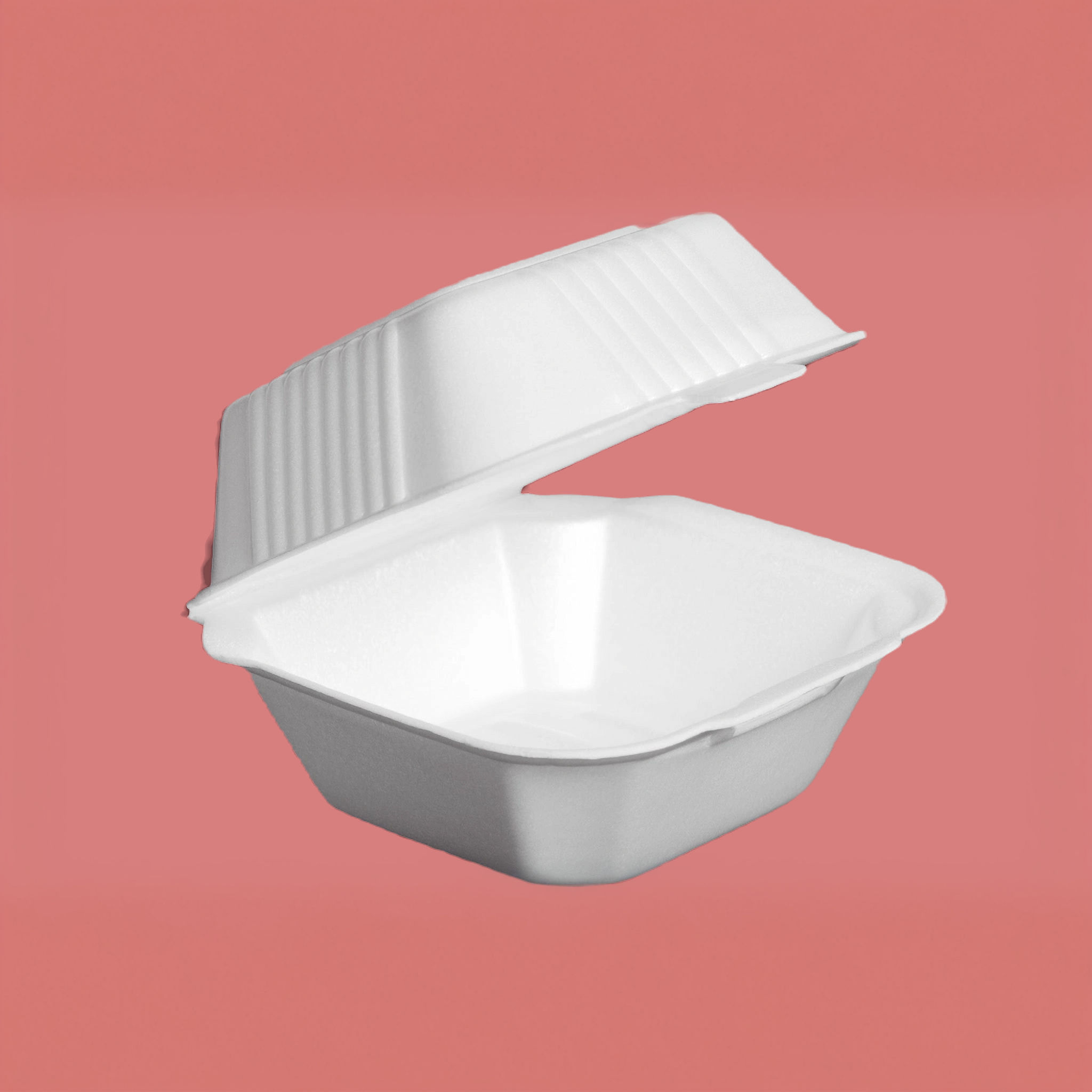 1 PQ C/50PZAS DE BISAGRA TERMICA BLANCA 6 IN X 6 IN