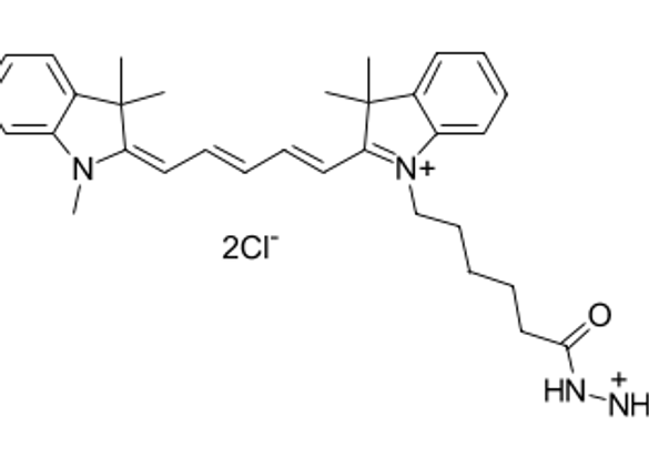 Thumbnail: Cyanine5 hydrazide