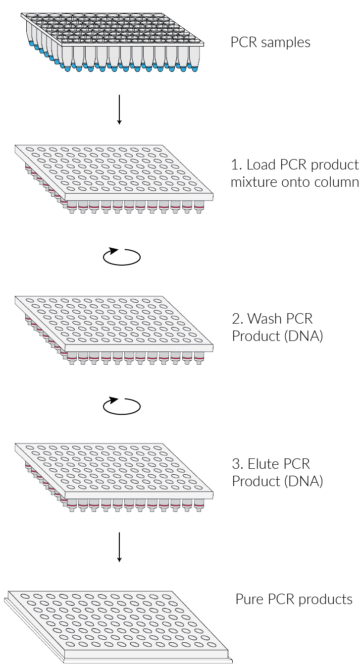 Thumbnail: PuroSPIN-96™ PCR Product Purification Kit  #NKP105-384