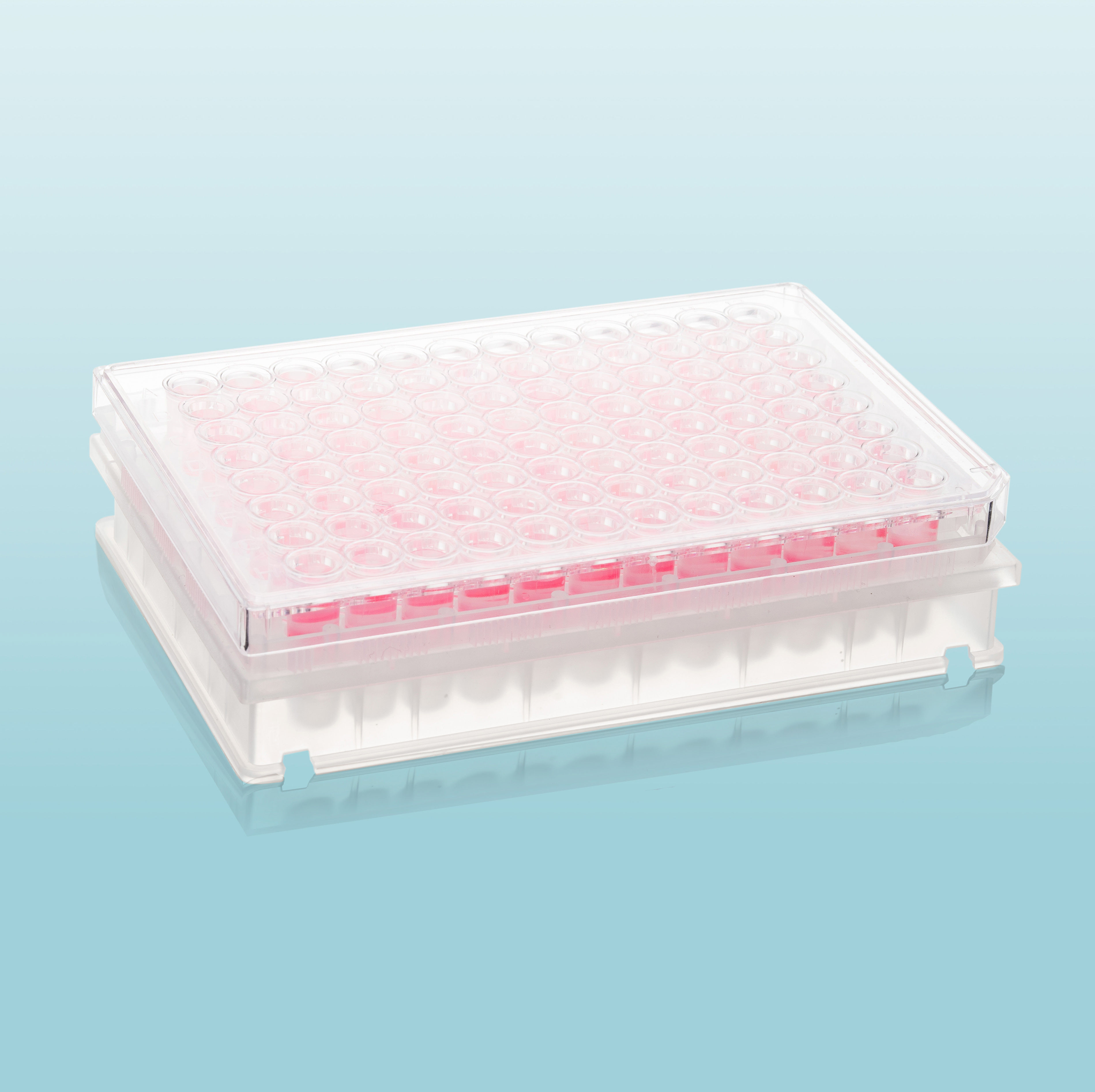 ClariSpin 96-Well Filter Plates (R), Hydrophobic PTFE, 0.45μm (10/Box)