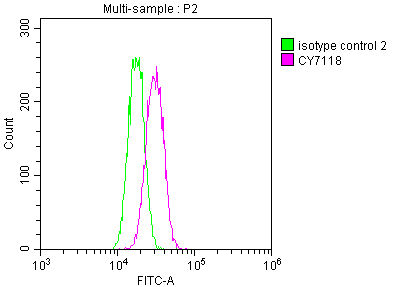 Thumbnail: SKP2 Antibody