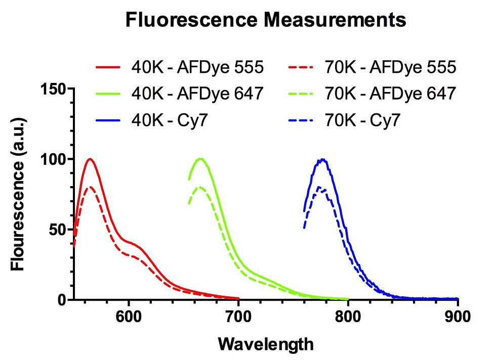 Thumbnail: Dextran CLIO Magnetic Nanoparticles - Biotin, Fluorescent Dye