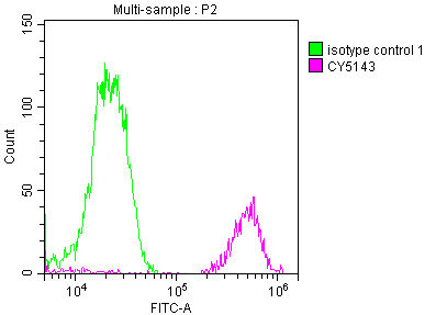 Thumbnail: FUBP1 Antibody