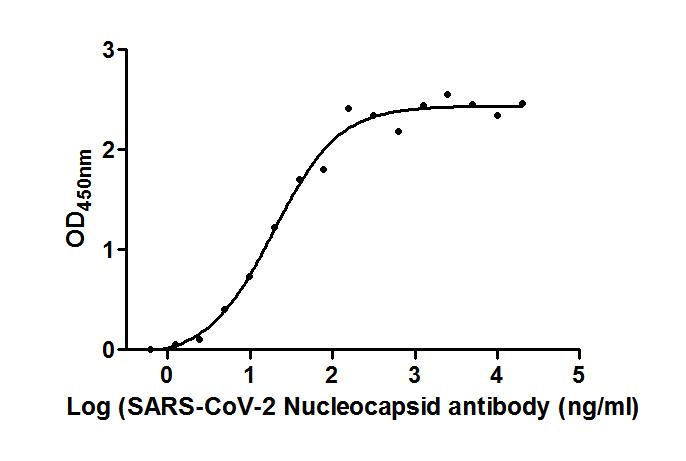 N Monoclonal Antibody