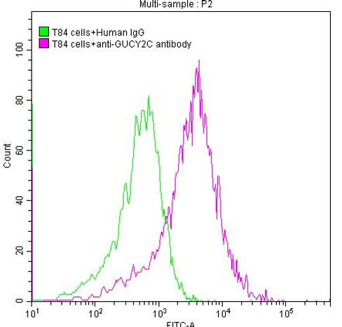 Thumbnail: GUCY2C Monoclonal Antibody