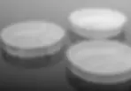 Thumbnail: 60 x 15 mm Petri Dish, sterile 500/cs