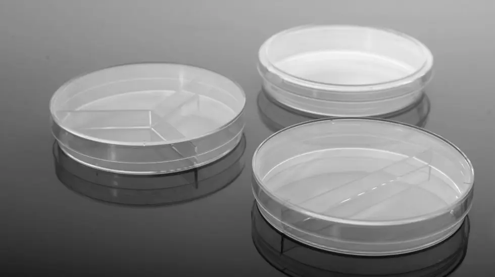 Thumbnail: 35 x 12 mm Petri Dish, Sterile 500/cs