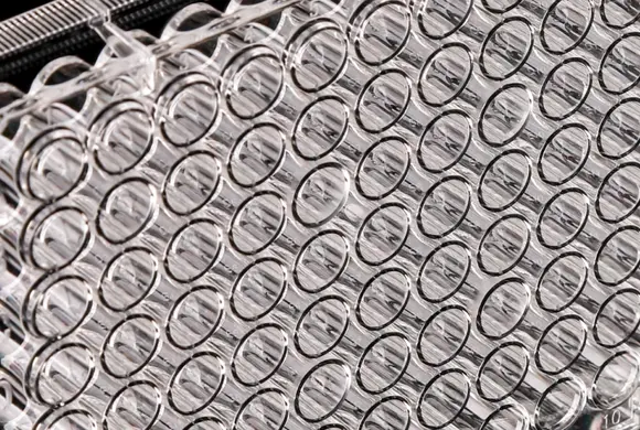 Thumbnail: 96 Well Cell Culture Plate, Flat, Non-treated, Sterile, 1/pk, 100/cs
