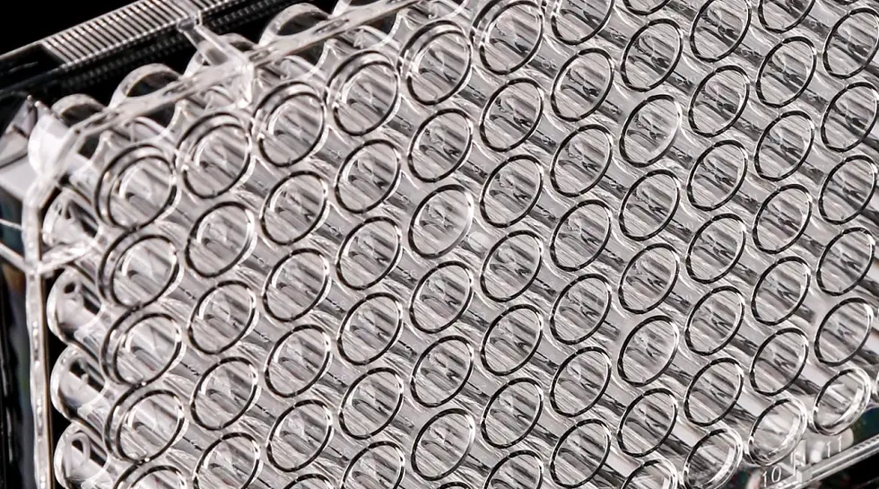 Thumbnail: 96 Well Cell Culture Plate, Flat, TC, Sterile, 1/pk, 100/cs