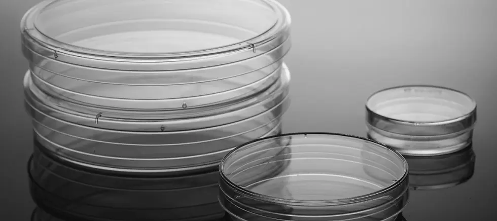 Thumbnail: 60mm Cell Culture Dish with Gripping Ring, TC, Sterile, 500/cs