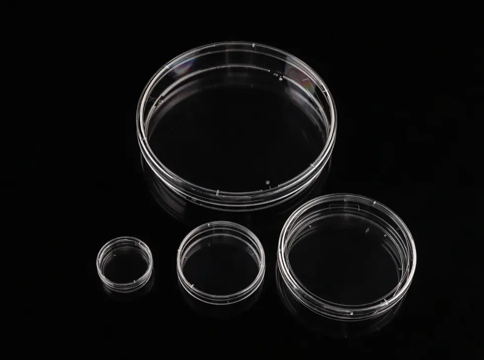 Thumbnail: 150 mm Cell Culture Dish, TC, Sterile, 100/cs