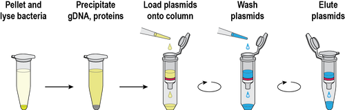 ⭐️ZOLOPIX ⭐️MINTABI ミンタビ 20+ Tutorial Kit Clear & Metallic