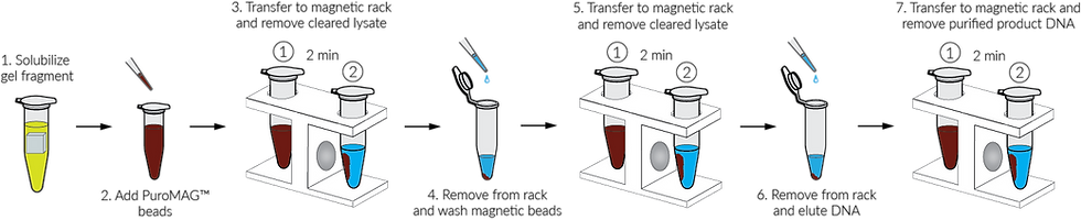 Thumbnail: PuroMAG™ Gel Extraction Kit  #NKM107-96, #NKM107-384