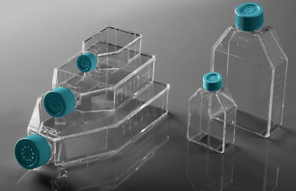 Thumbnail: 75 cm2 (T75) Cell Culture Flask, Vent Cap, Non-treated, Sterile, 100/cs