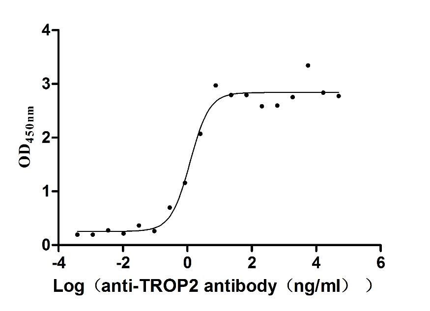 Thumbnail: TROP2 monoclonal antibody
