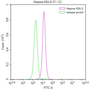 Thumbnail: H2AFX Recombinant Monoclonal Antibody