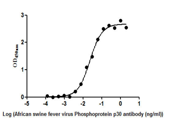 African swine fever virus Phosphoprotein p30(Ba71V-93) Monoclonal Antibody