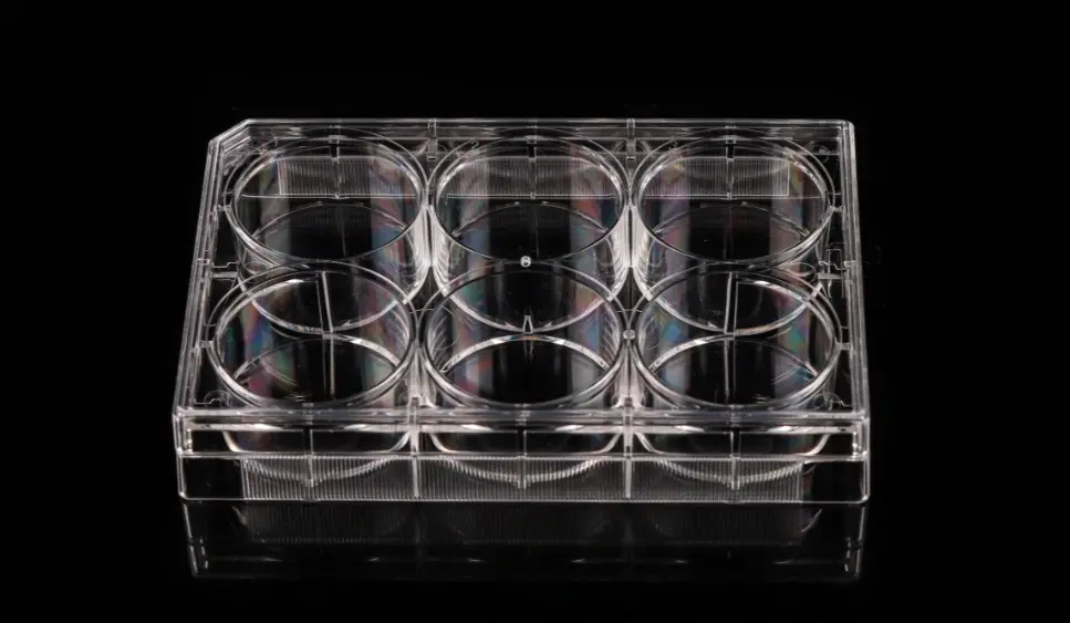 Thumbnail: 6 Well Cell Culture Plate, Flat, Non-Treated, Sterile, 1/pk, 50/cs