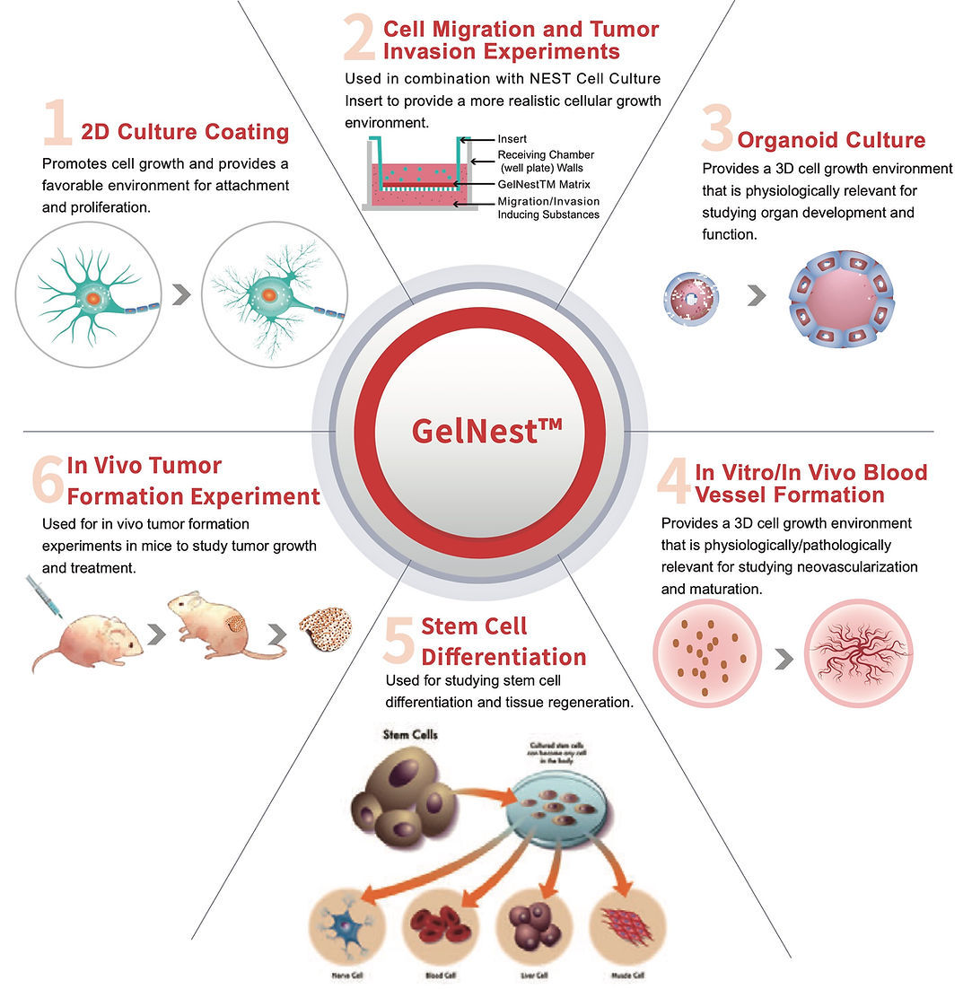 GelNest Matrix for Angiogenesis Experiment, with Phenol Red