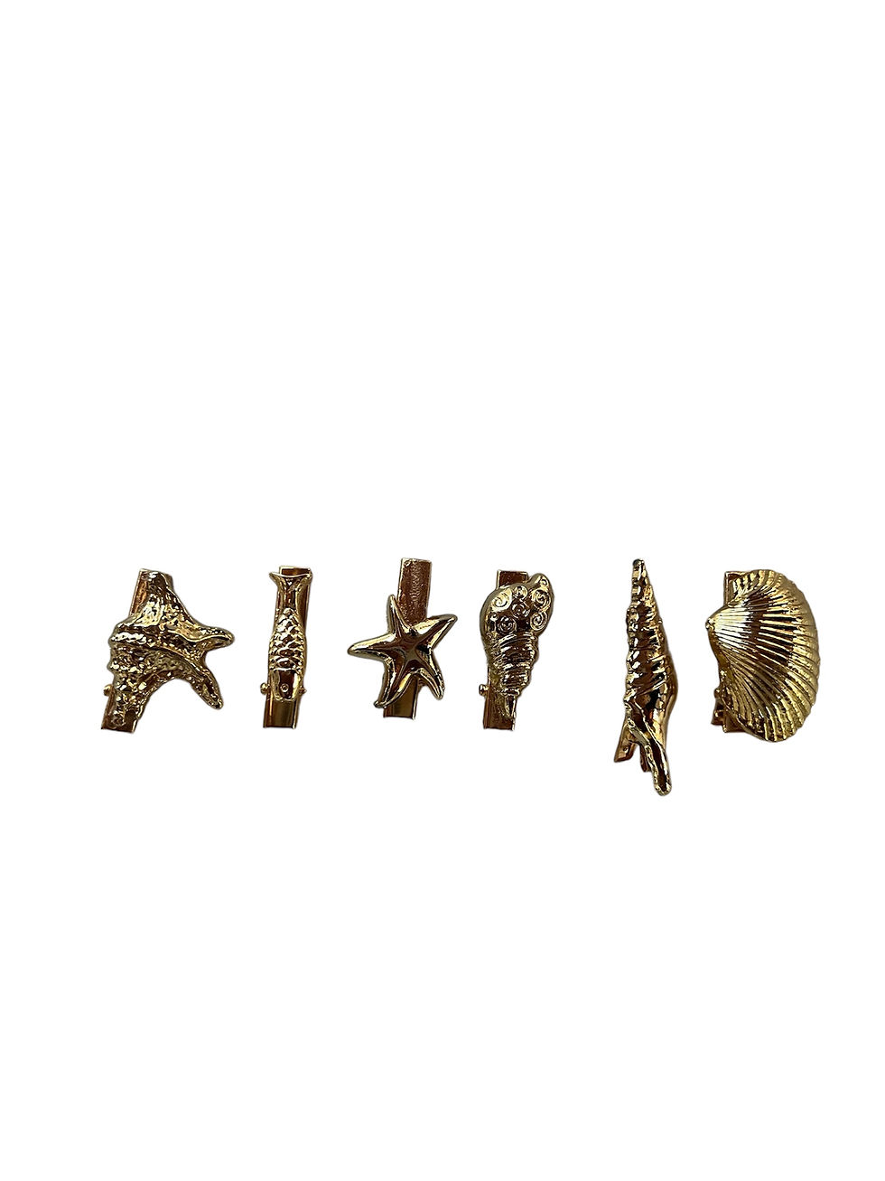 תמונה ממוזערת: seashall Clips