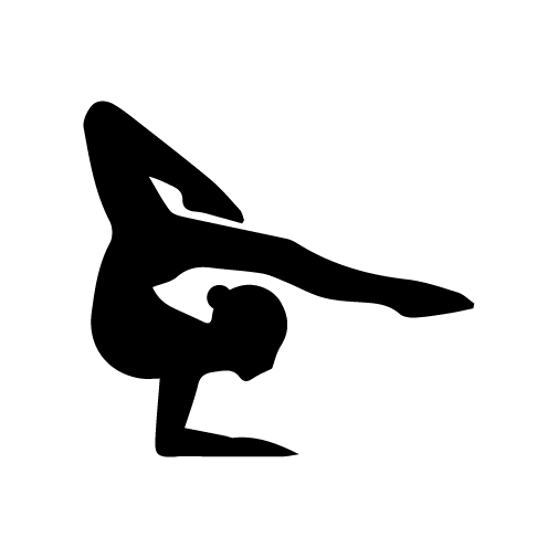 Birmingham Unified Gymnastics 2022