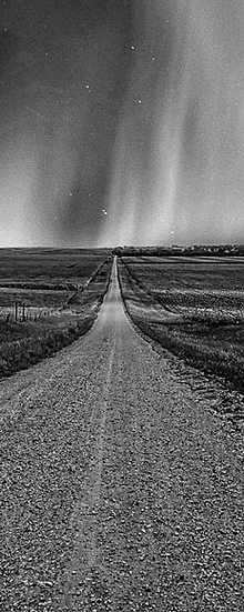 Farm Road-2.png